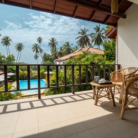 Green Parrot Beach Resort-3
