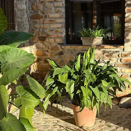 Finca Los Caleros-2