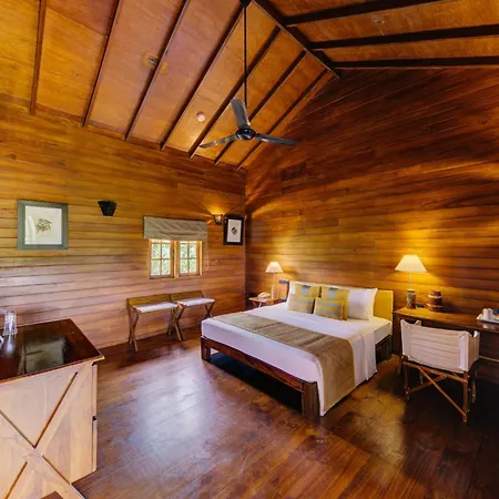 Cinnamon Wild Yala-2