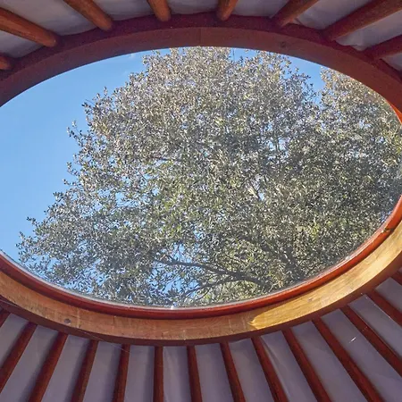 Ecolodges En Provence-2