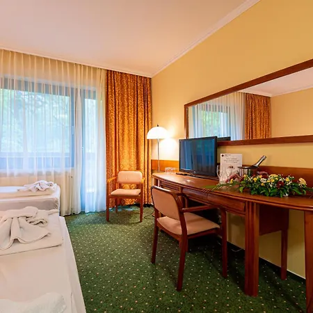 Hotel Loever Sopron-2