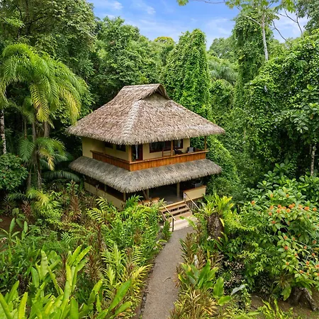 Copa De Arbol Beach&Rainforest Resort-3