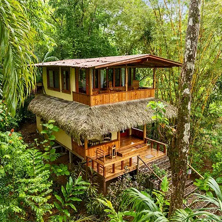 Copa De Arbol Beach & Rainforest Resort-3