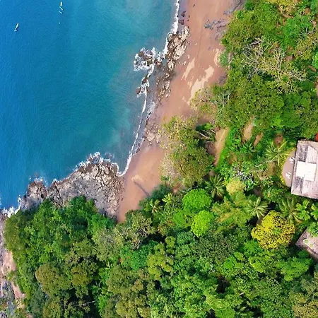 Copa De Arbol Beach&Rainforest Resort-2