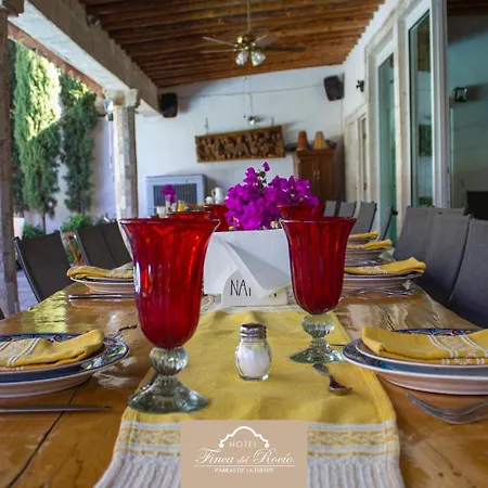 Finca del Rocio-2