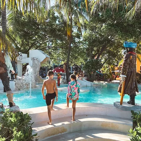 Oasis Palm-3