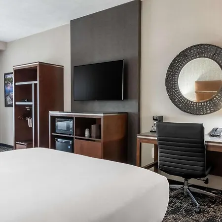 Drury Plaza Hotel College Station-3