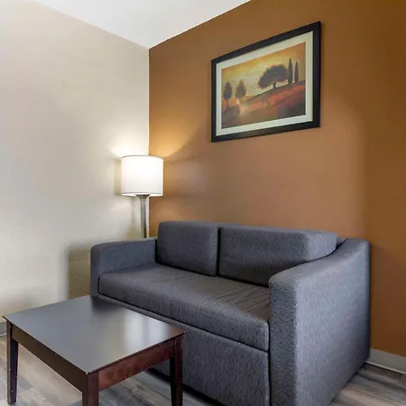 Quality Inn & Suites Wichita Falls I-44-2