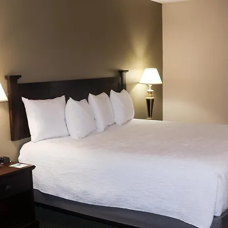 Wingate By Wyndham Peoria - Complimentary Area Shuttle-3