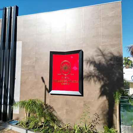 Hotel Girassol Plaza-2