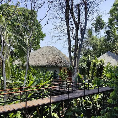 Lapa Rios Lodge By Boeena-3