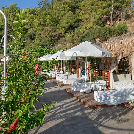 Mylome Luxury Hotel & Resort-2