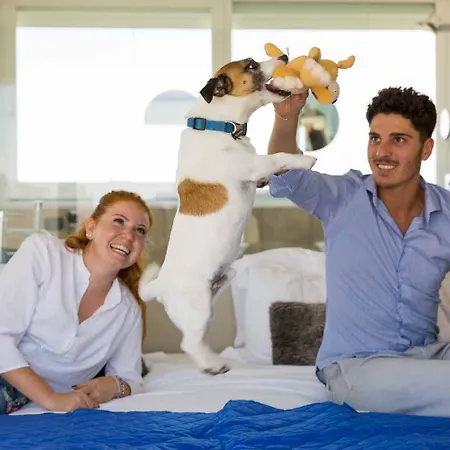 Hotel Dory-3