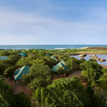 Cinnamon Wild Yala-3