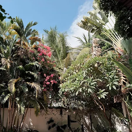 Maison 557-3