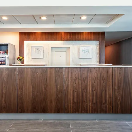 Hilton Garden Inn Tampa Northwest/Oldsmar-2