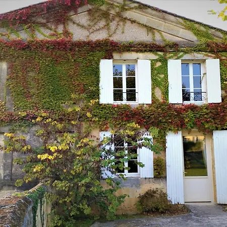 Château Fleur de Roques-2