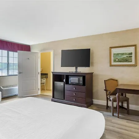Best Western Plus Vineyard Inn And Suites-3