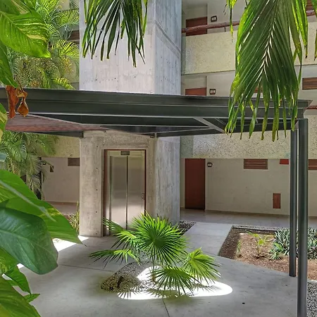 Casa Del Mar Cozumel Hotel & Dive Resort With Free Access To An Exclusive Beach Club-3
