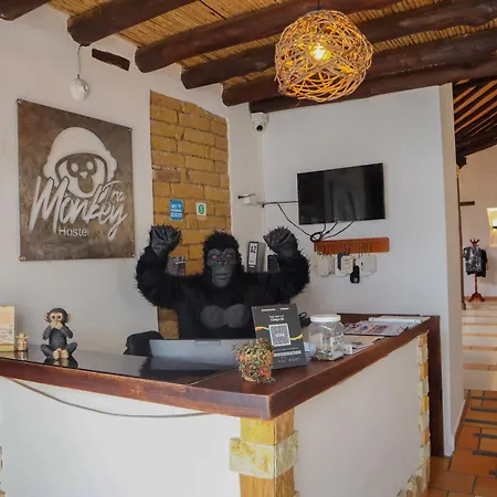 Trip Monkey Origen-2