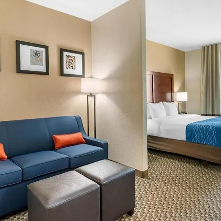 Comfort Inn & Suites Navasota-3