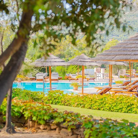 Felix Hotels - Hotel Airone-2