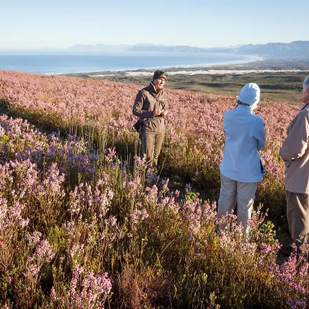 Grootbos Private Nature Reserve-3
