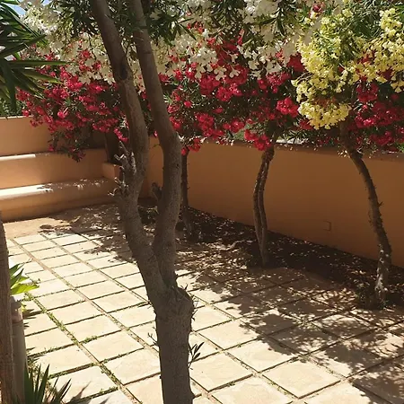 Moresco Resort-2