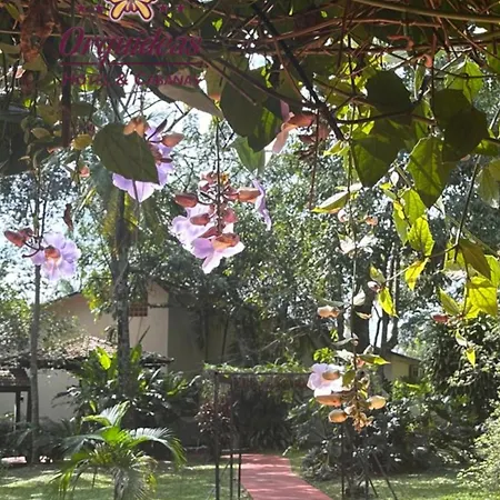 Orquideas Hotel & Cabanas-3