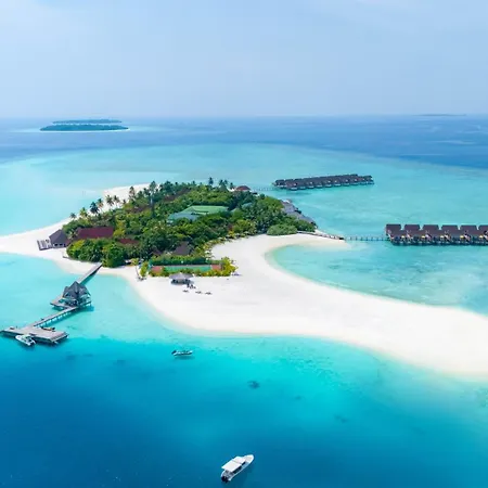 Dhigufaru Island Resort-3