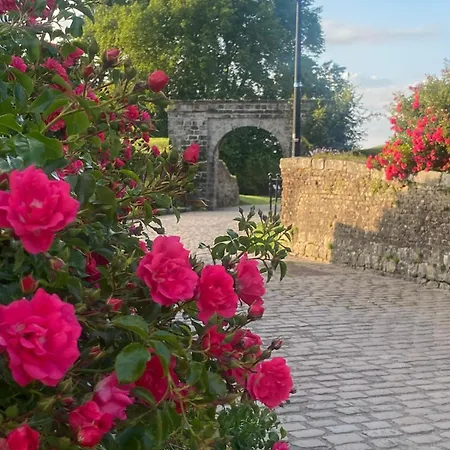 Aux remparts de Montreuil-3