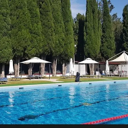 Aurelia Green Suite-2