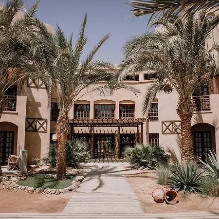 Cook'S Club El Gouna (Adults Only)-3