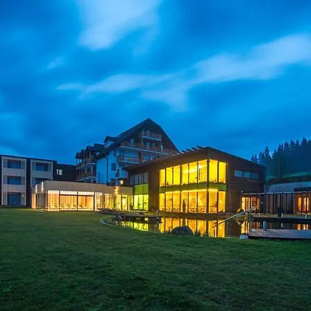Hotel Schwarz Alm Zwettl-3