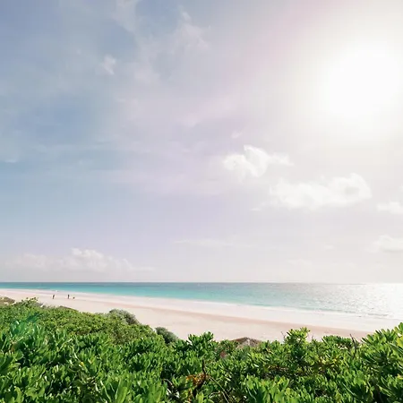 Pink Sands Resort-3