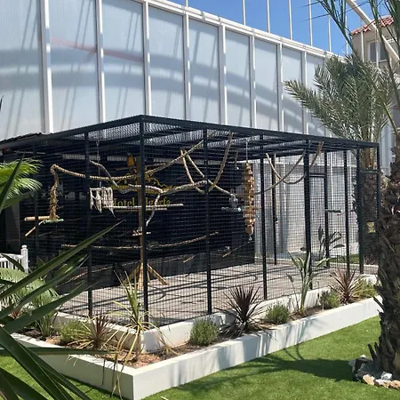 Hotel Algorfa-2