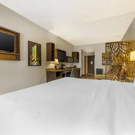 Best Western Plus Franciscan Square Inn & Suites Steubenville-3