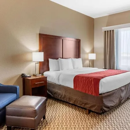 Comfort Inn & Suites Navasota-2