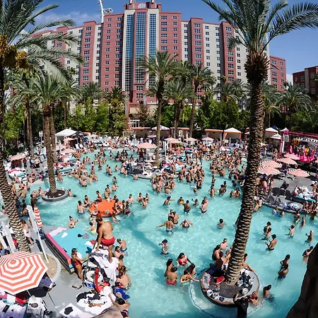 Flamingo Las Vegas Hotel & Casino-3