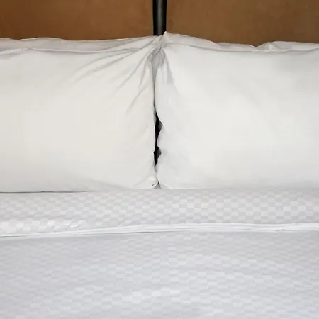 Four Points By Sheraton Bellingham Hotel & Conference Center-2