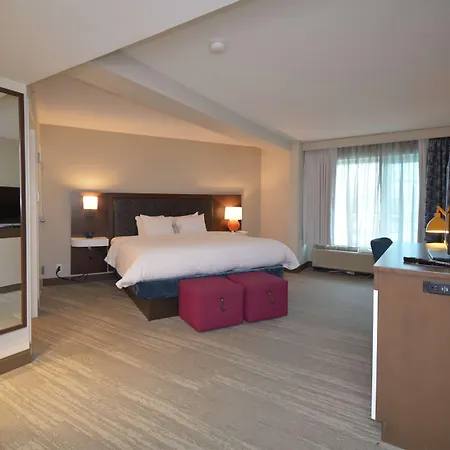 Hampton Inn Salem East - Electric Road-3
