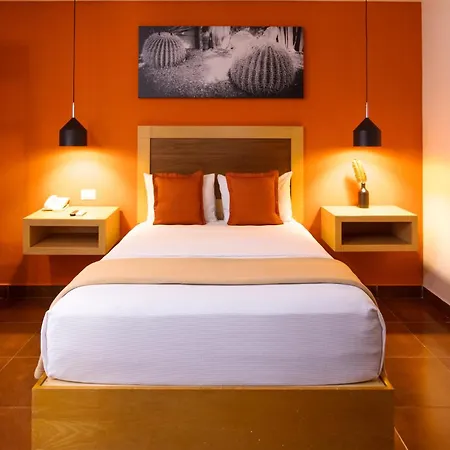 Hotel Buen Valle-2