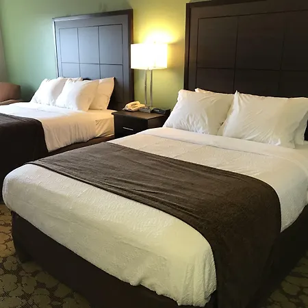 Surestay Plus Hotel By Best Western Bettendorf-3