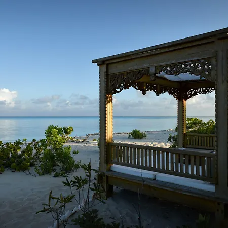 Como Parrot Cay-3