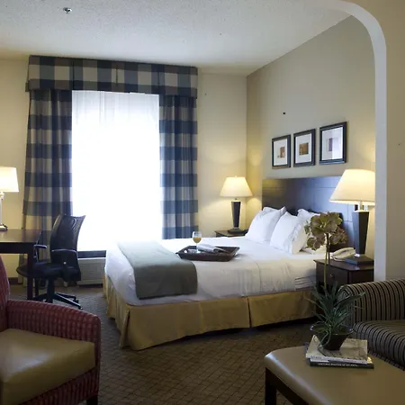 Holiday Inn Express Hotel & Suites - Atlanta/Emory University Area By Ihg-2