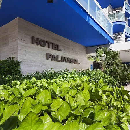 Palmasol-2