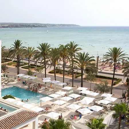 Myseahouse Flamingo - Adults Only 4* Sup-2