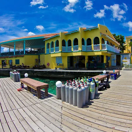 Buddy Dive Resort-3