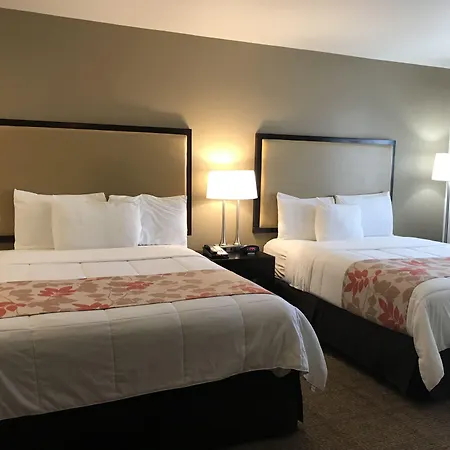 Hawthorn Suites-3
