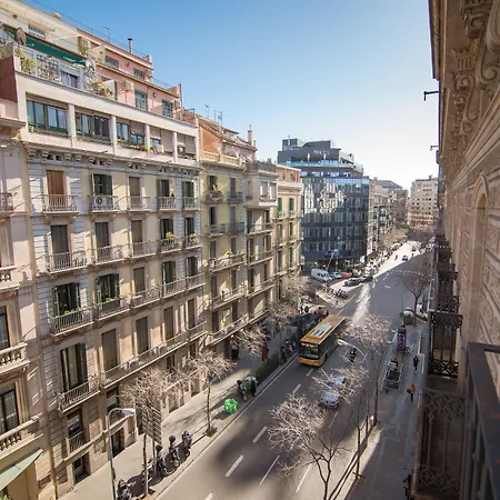 Icon Bcn-3